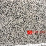 New Grigio Sardo Granite G640 Polished tile (1)